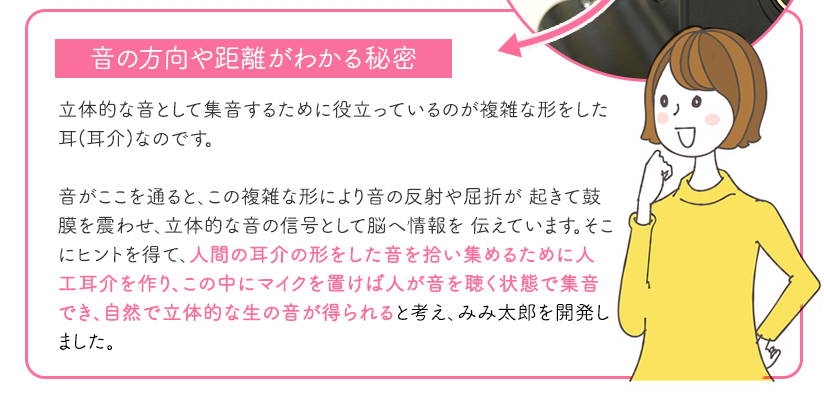 立体的な音として集音するために役立っているのが複雑な形をした耳(耳介)なのです。音がここを通ると、この複雑な形により音の反射や屈折が 起きて鼓膜を震わせ、立体的な音の信号として脳へ情報を 伝えています。そこにヒントを得て、人間の耳介の形をした音を拾い集めるために人工耳介を作り、この中にマイクを置けば人が音を聞く状態で集音でき、自然で立体的な生の音が得られると考え、みみ太郎を開発しました。