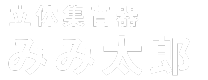 立体集音器 みみ太郎